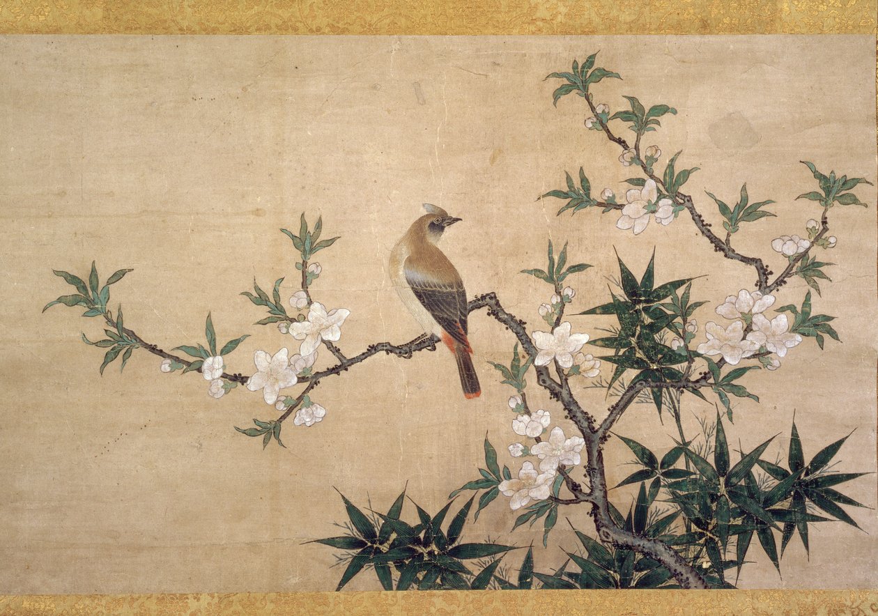 Fågel på persikoblom, ca 1550-60 (akvarell på papper) av Kano Yukinobu