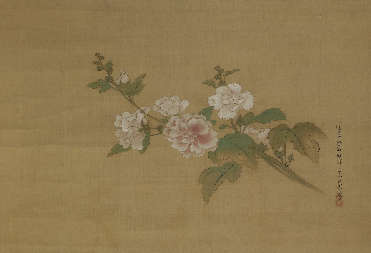 En gren av blommande hibiskus, Edo-period (färg på siden) av Kano Tanyu