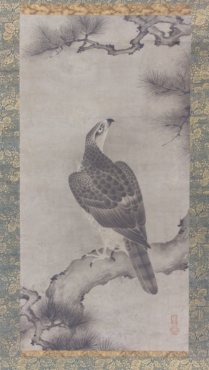Hawk on a Pine Shoo zu, 1500-talet. av Kano Yukinobu