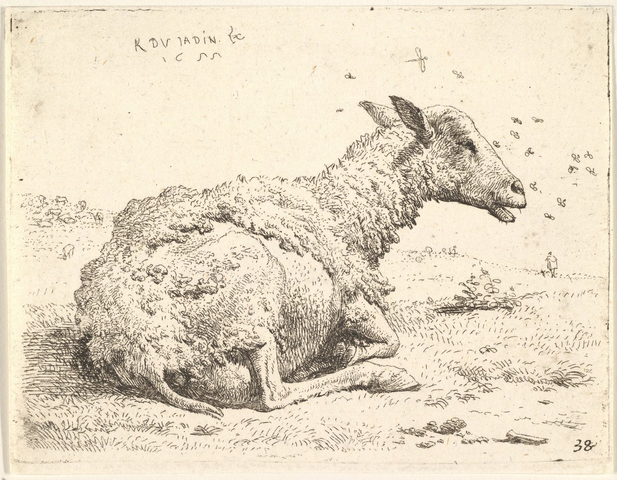 Delvis klippta får som ligger i gräset med insekter svävande runt huvudet, 1655. av Karel Du Jardin