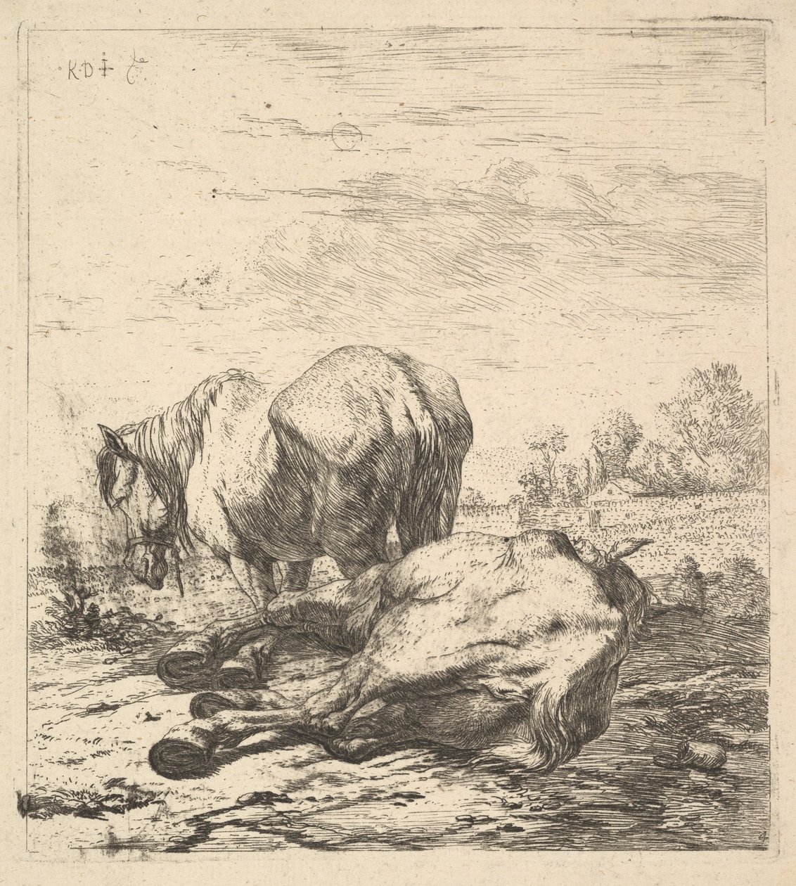 De två hästarna, 1600-talet. av Karel Du Jardin