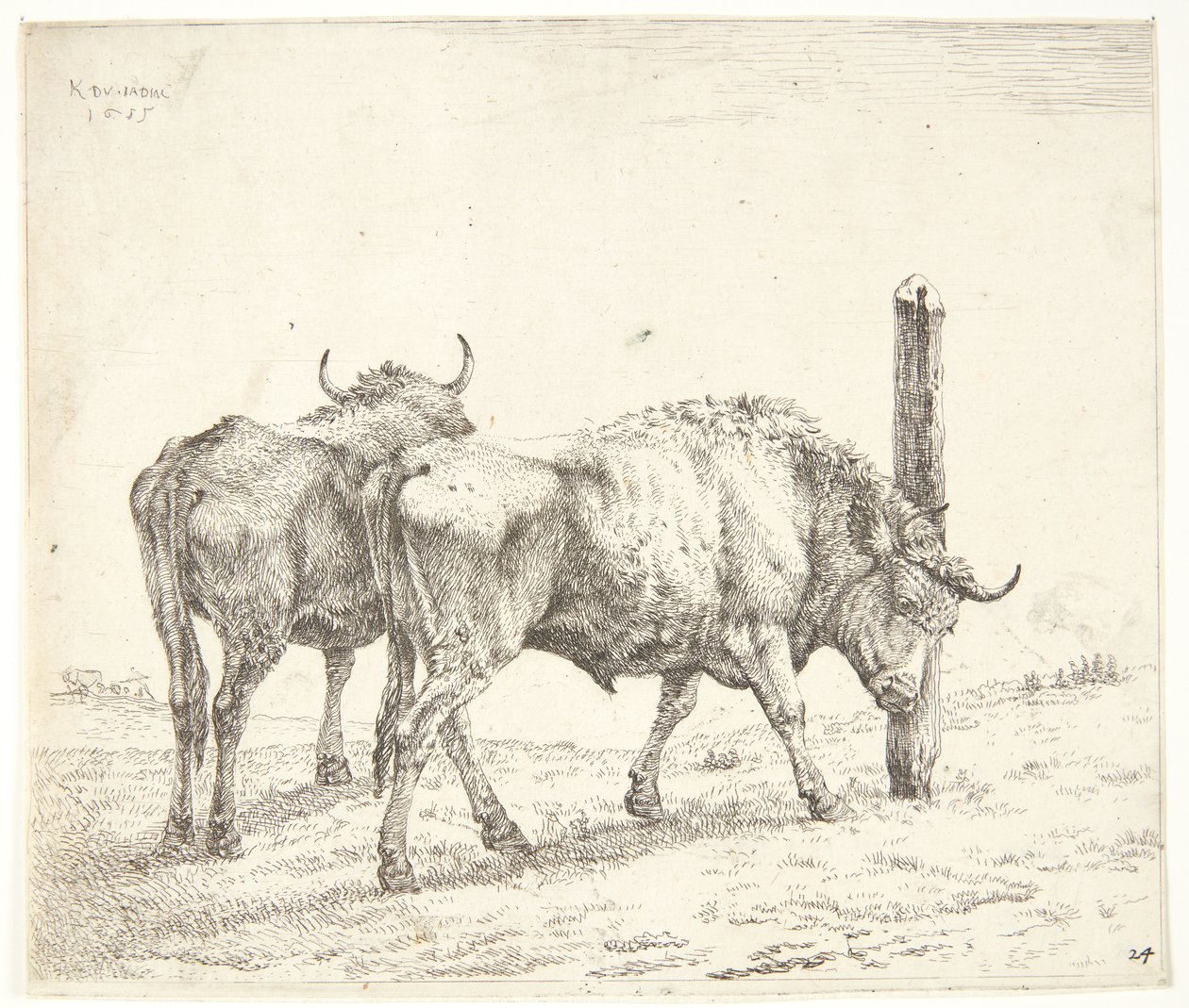 De två oxarna av Karel Du Jardin