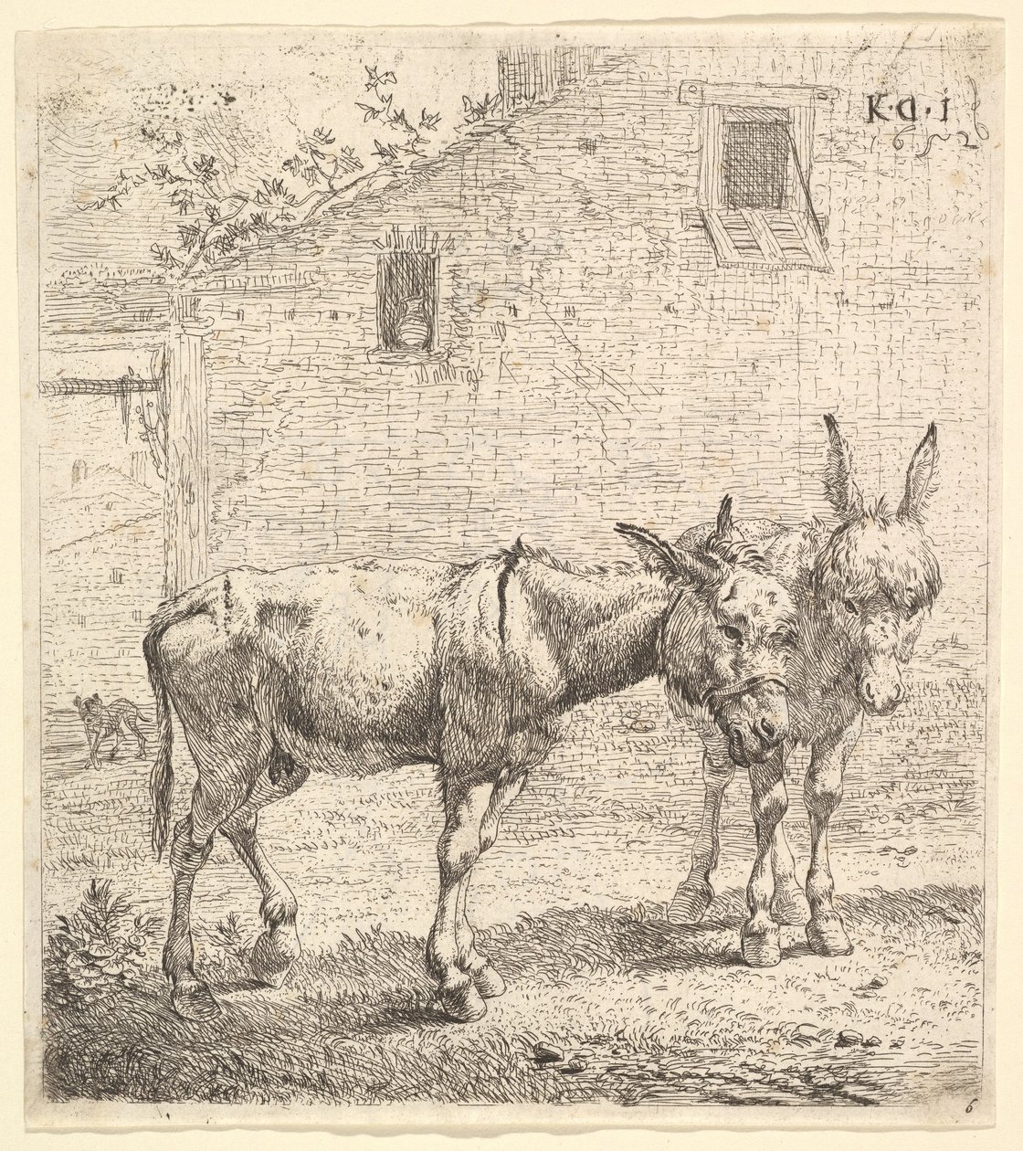 Två åsnor som står på en gräsbevuxen gård, en i profilvy åt höger och en annan bakom..., 1652. av Karel Du Jardin