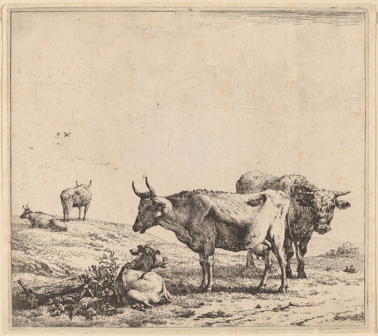 Ko, tjur och kalv av Karel Dujardin