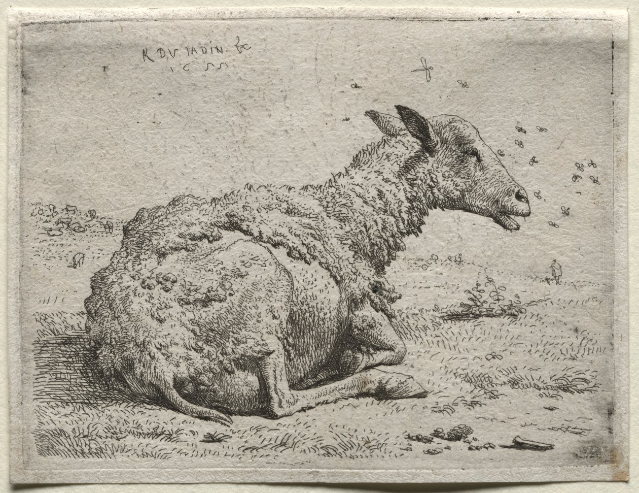 Fåren och flugorna av Karel Dujardin