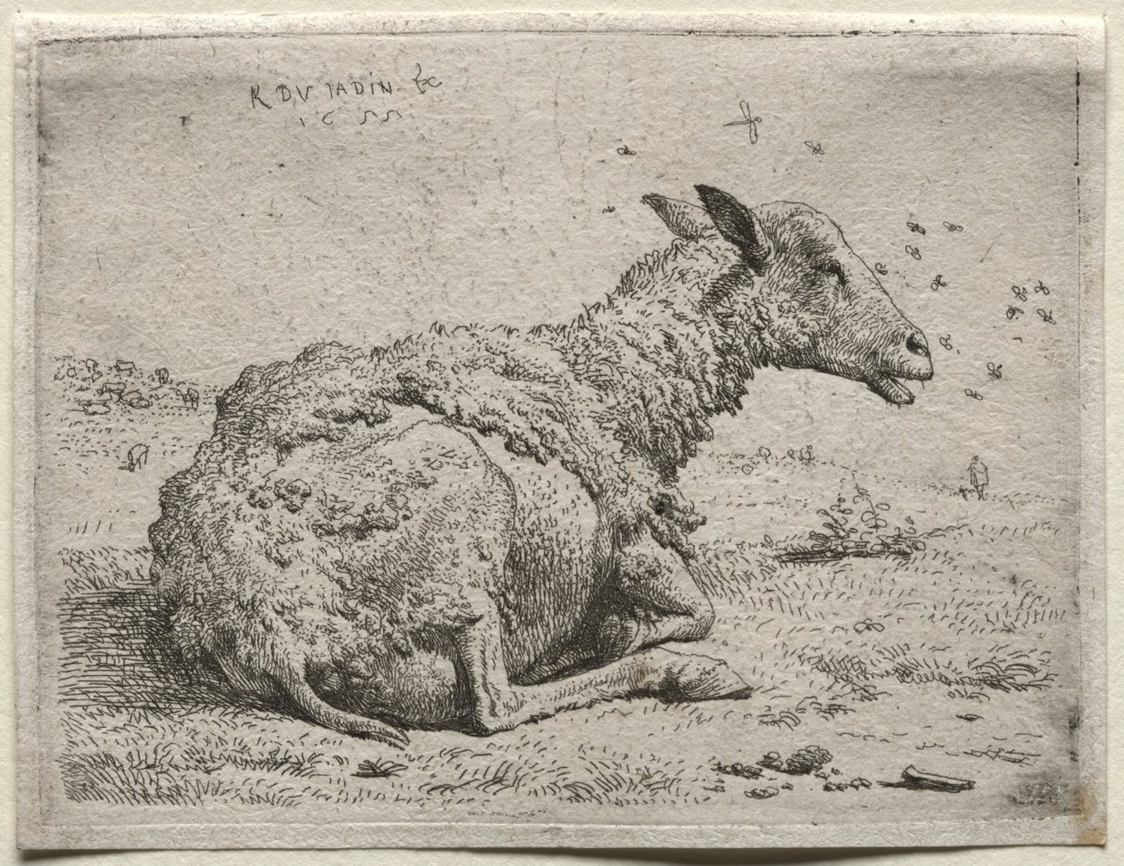 Fåren och flugorna. av Karel Dujardin