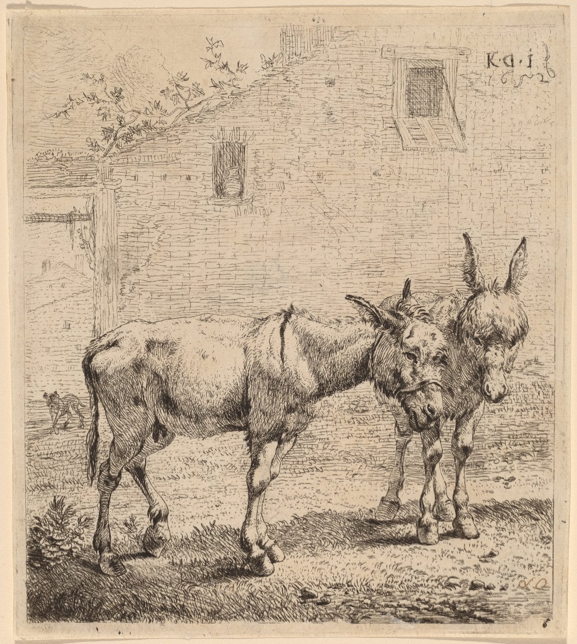 Två åsnor av Karel Dujardin