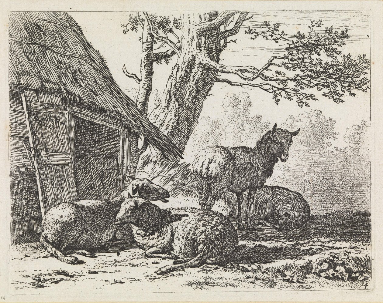 Fyra får av Karel Dujardin