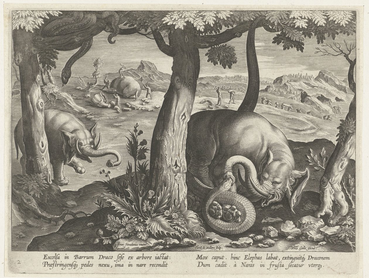 Olifant mötte slang i strid Jachttaferelen (serietitel) Jakten på vilt, fågel och fisk i Bestiary (serietitel) av Karel van Mallery (attributed to)
