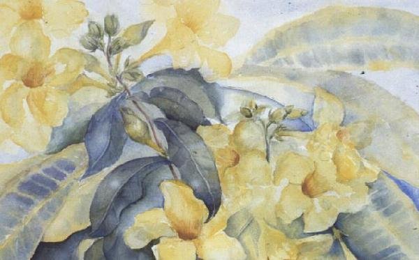 Alamanda eller gula klockor av Karen Armitage