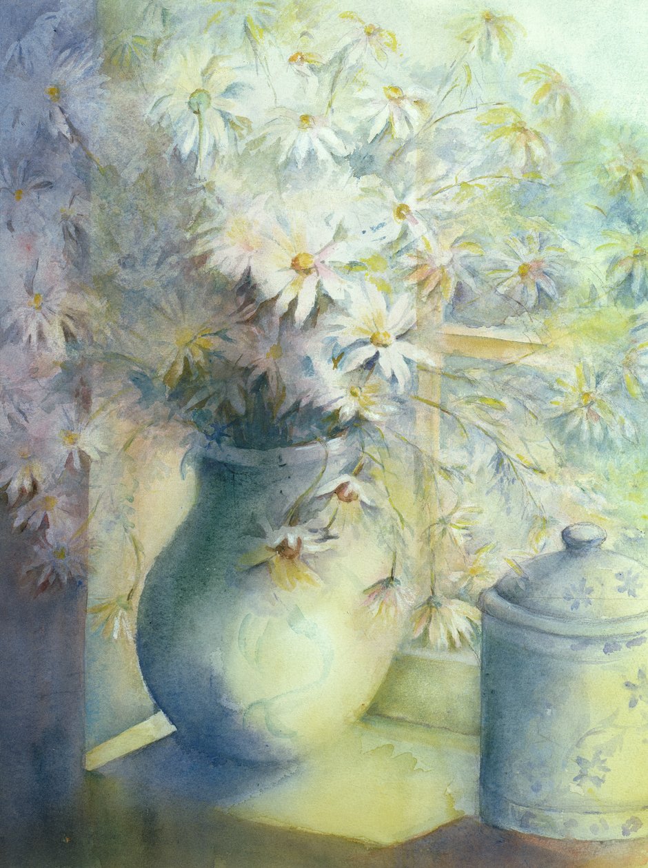 Asters - Snowsprite i kanna på fönsterbrädan av Karen Armitage