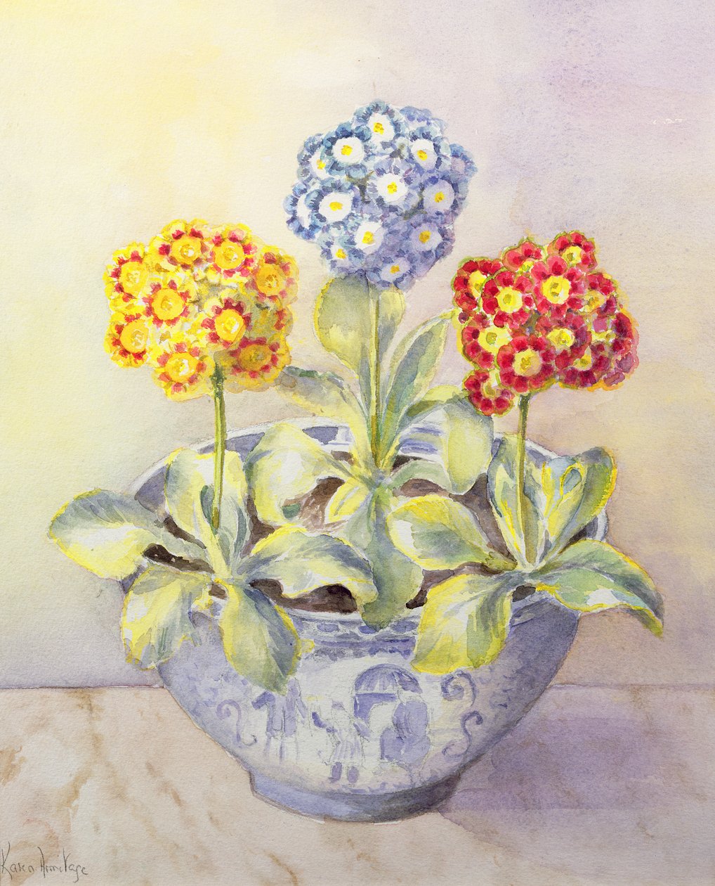 Auricula i en kinesisk kruka av Karen Armitage