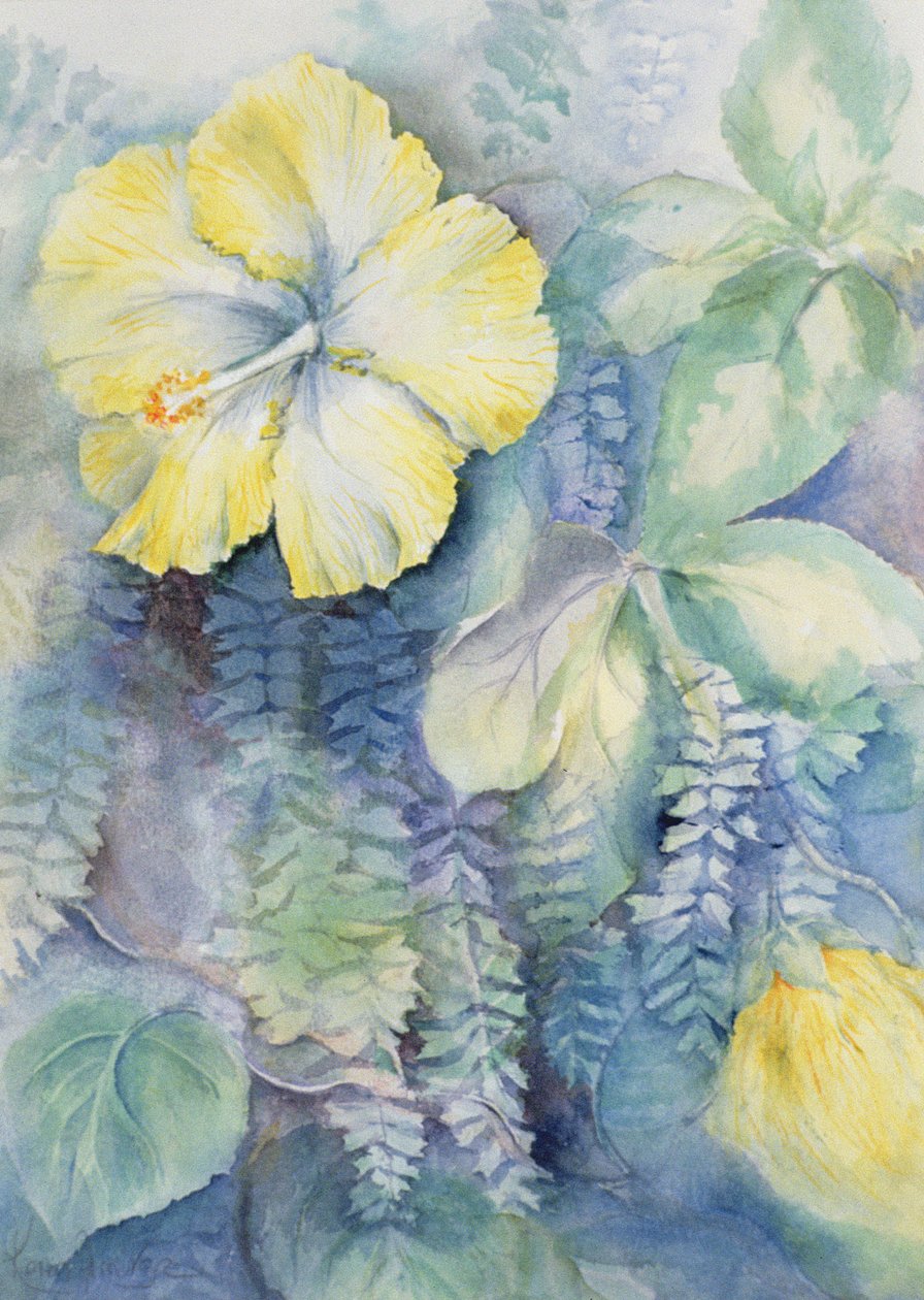 Hibiskus, gul av Karen Armitage