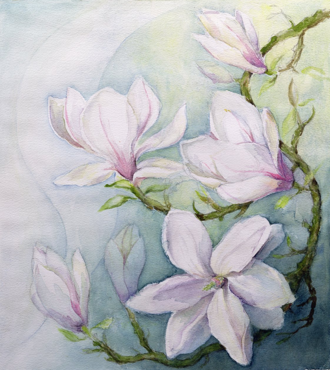 Magnolior (wc) av Karen Armitage