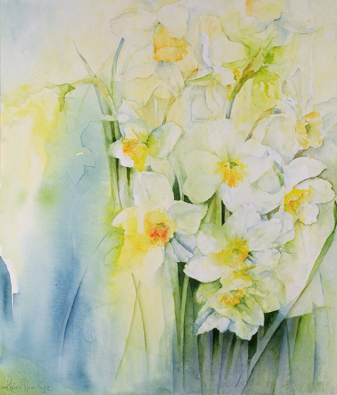Narcissi och fresia av Karen Armitage