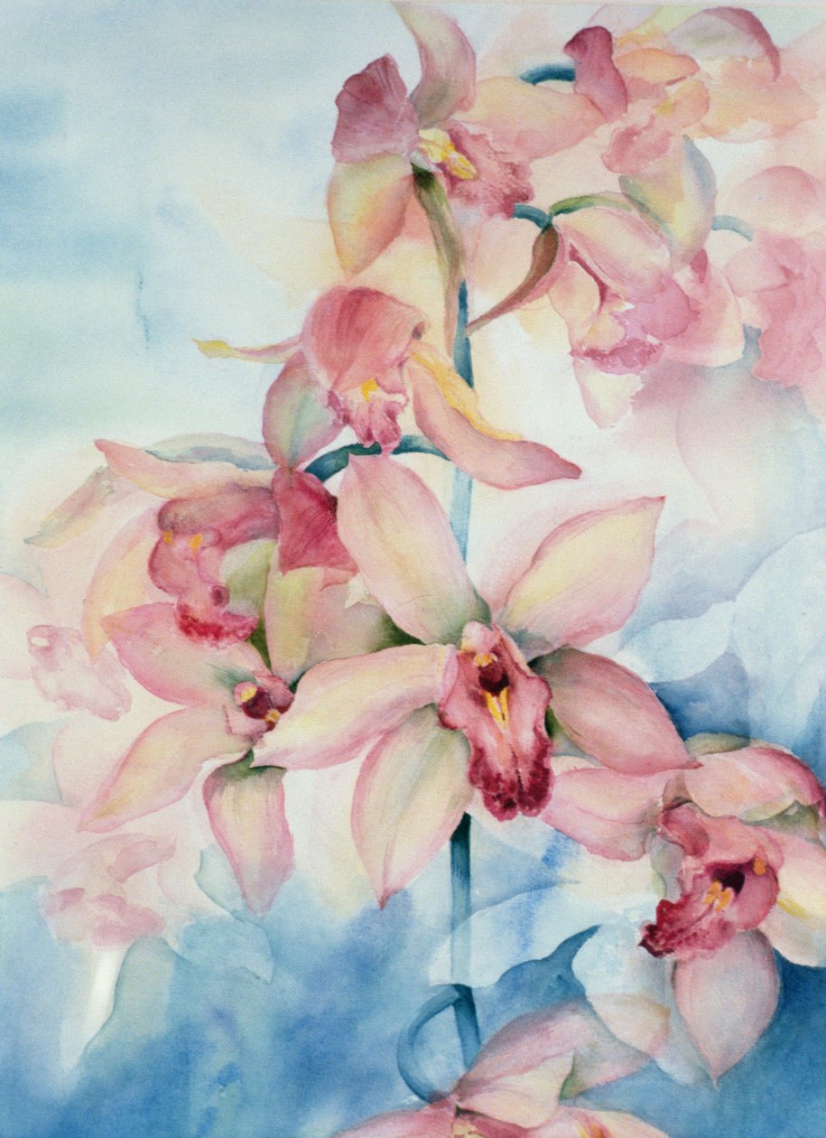 Orkidé Cymbidium Ramley av Karen Armitage
