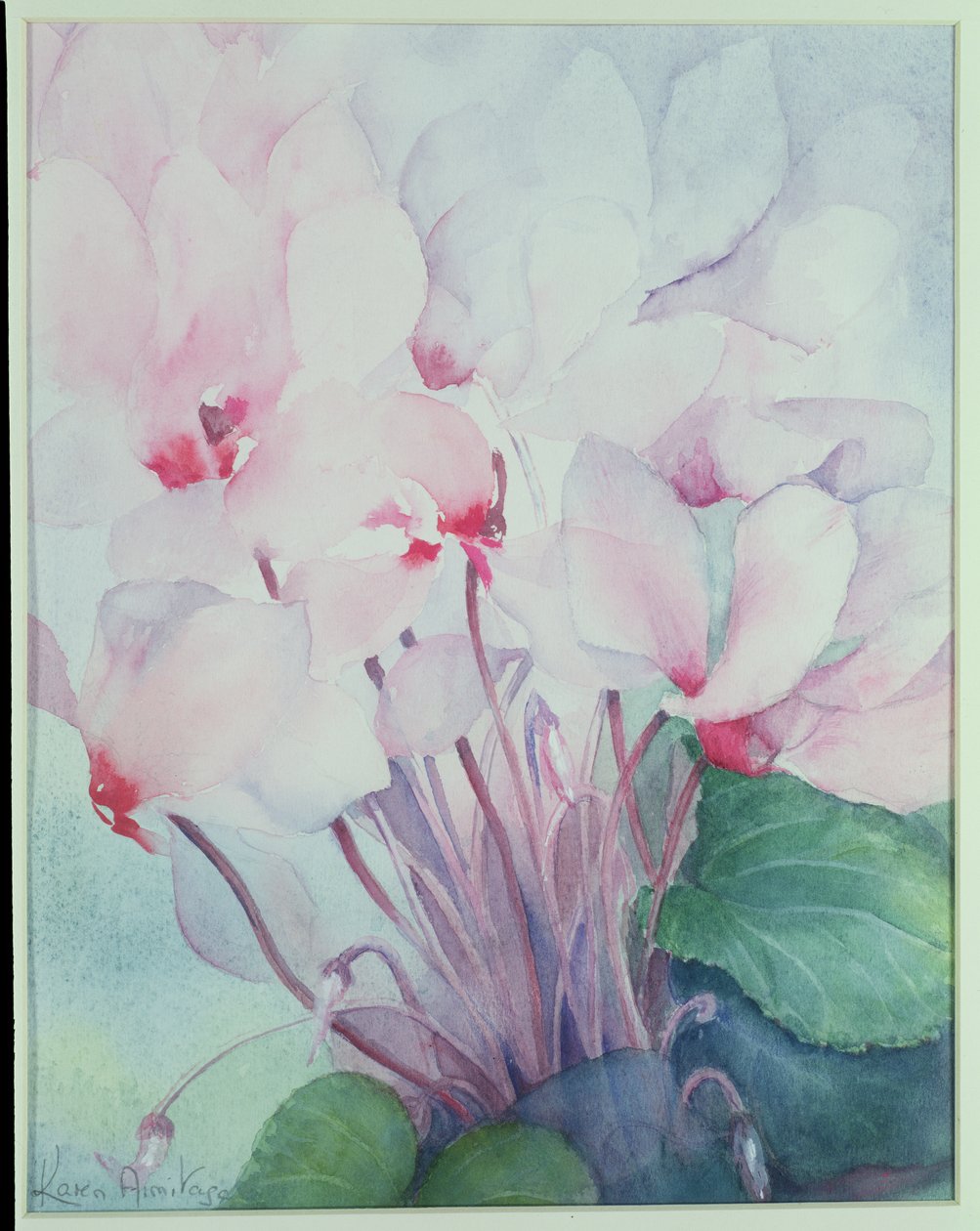 Rosa Cyclamen, Victoria av Karen Armitage