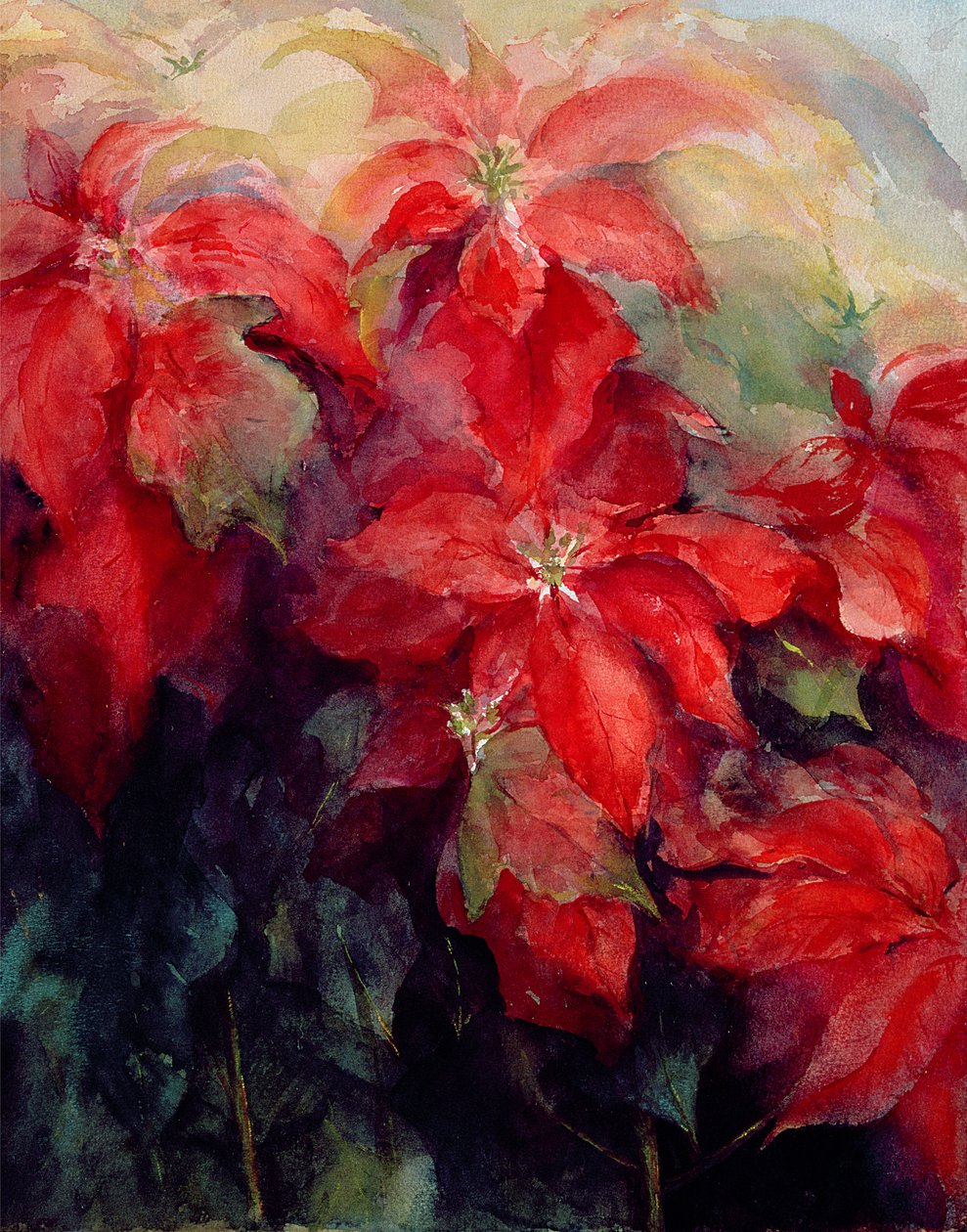 Röda julstjärnor av Karen Armitage