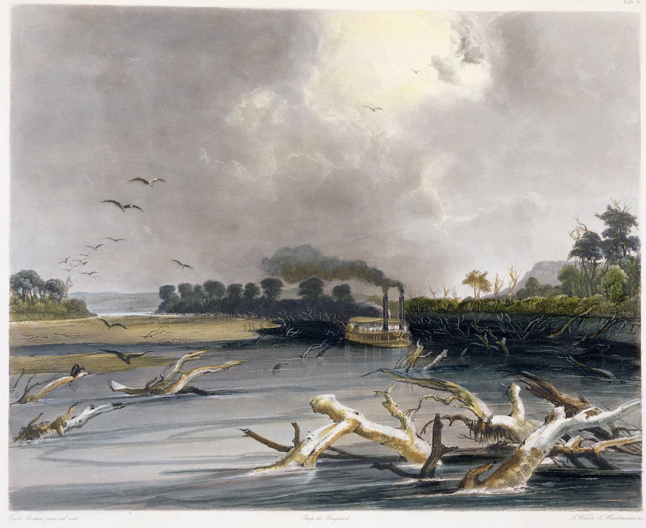 Snags (solkiga träd) vid Missouri, tavla 6 från volym 2 av "Travels in the Interior of North America", graverad av Lucas Weber och J. Hurlimann, 1844 (akvatint). av Karl Bodmer