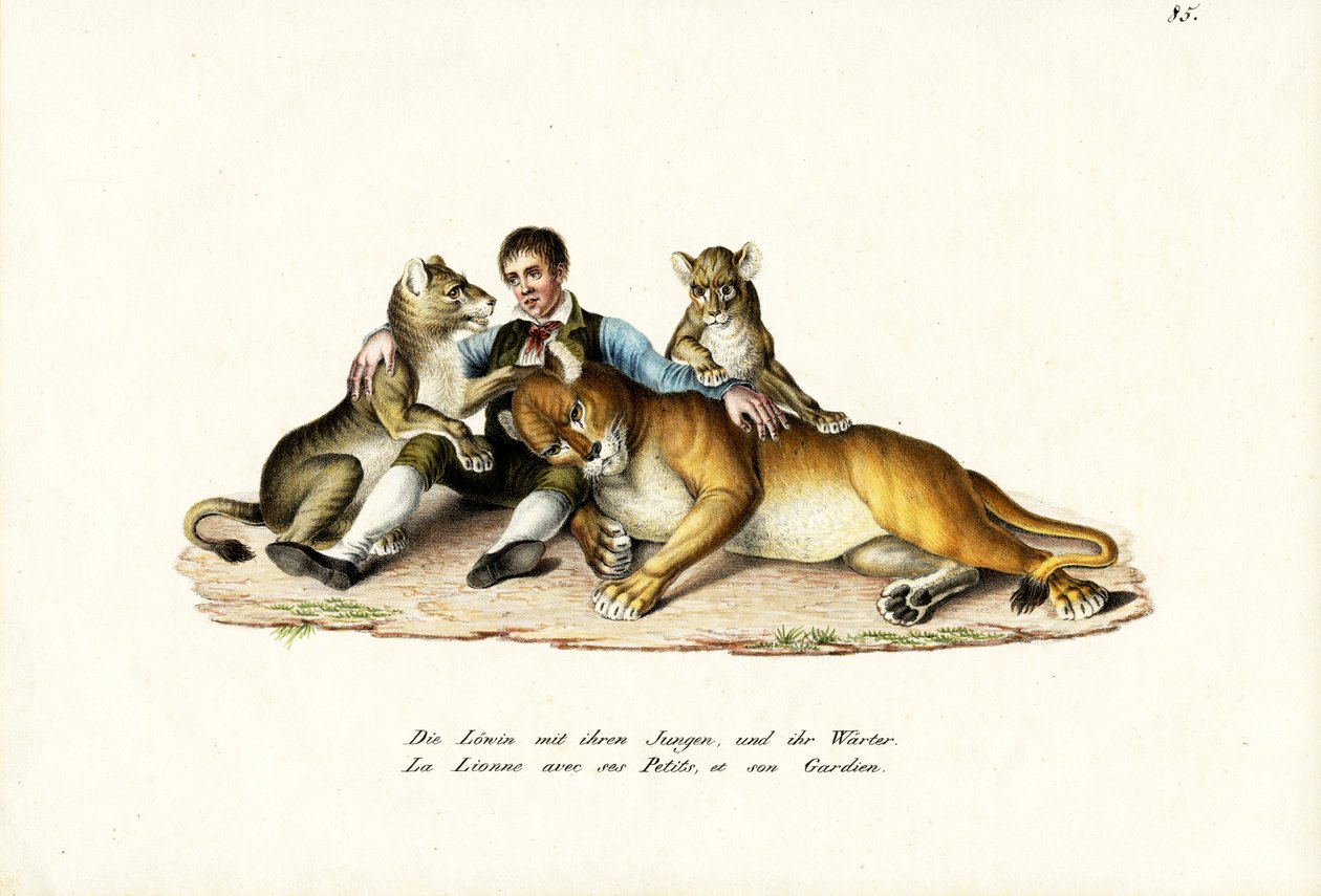 Lejoninna med ungar, 1824 av Karl Joseph Brodtmann