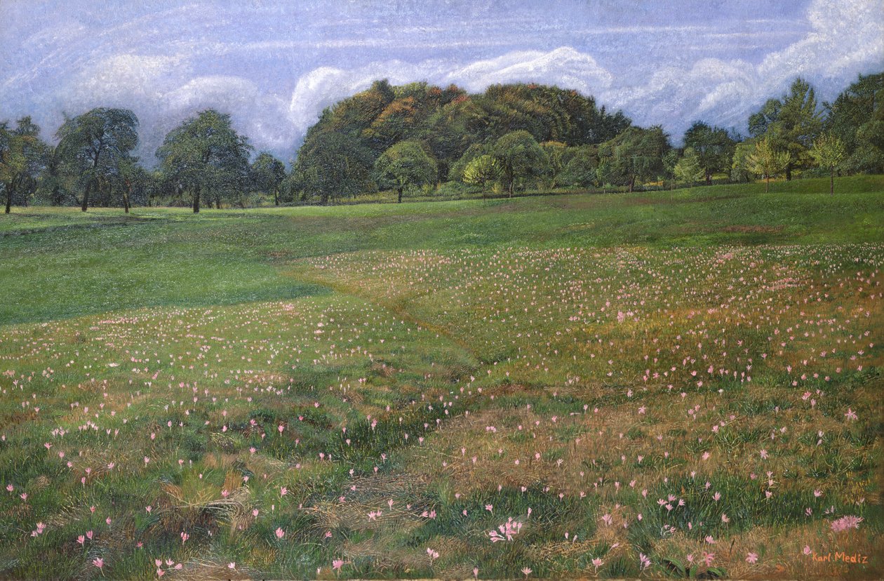 Ett fält med höstkrokus, 1908 av Karl Mediz