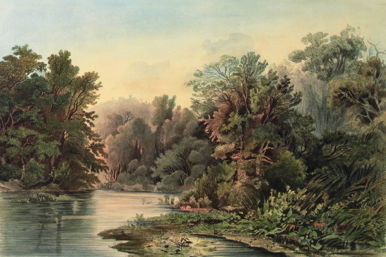 Forest Scene on the Lehigh, Pennsylvania, plansch 1 från volym 2 av `Travels in the Interior of North America av Karl (after) Bodmer