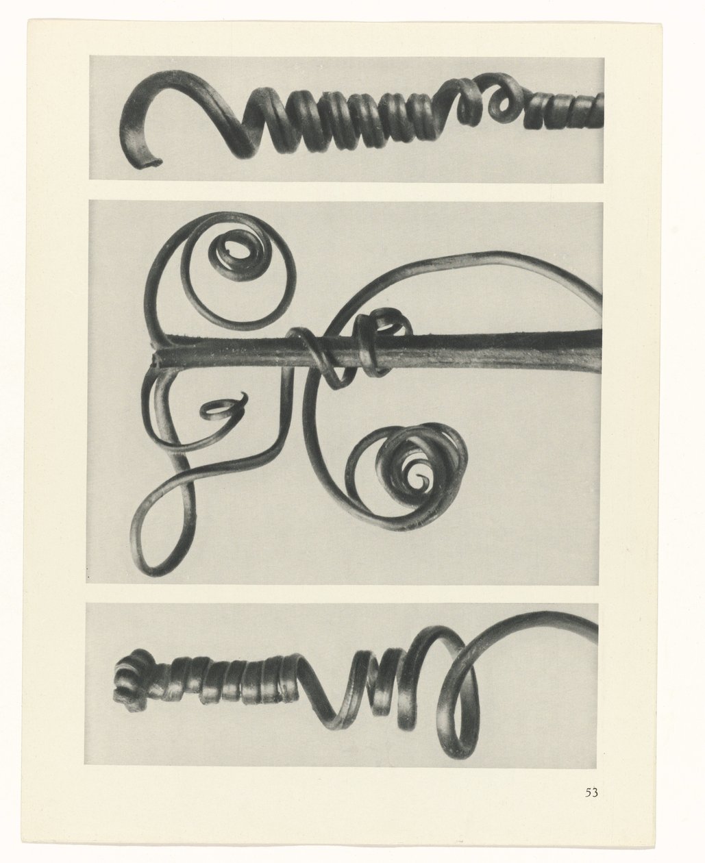 planera studien Archetypes of Art (serietitel) av Karl Blossfeldt