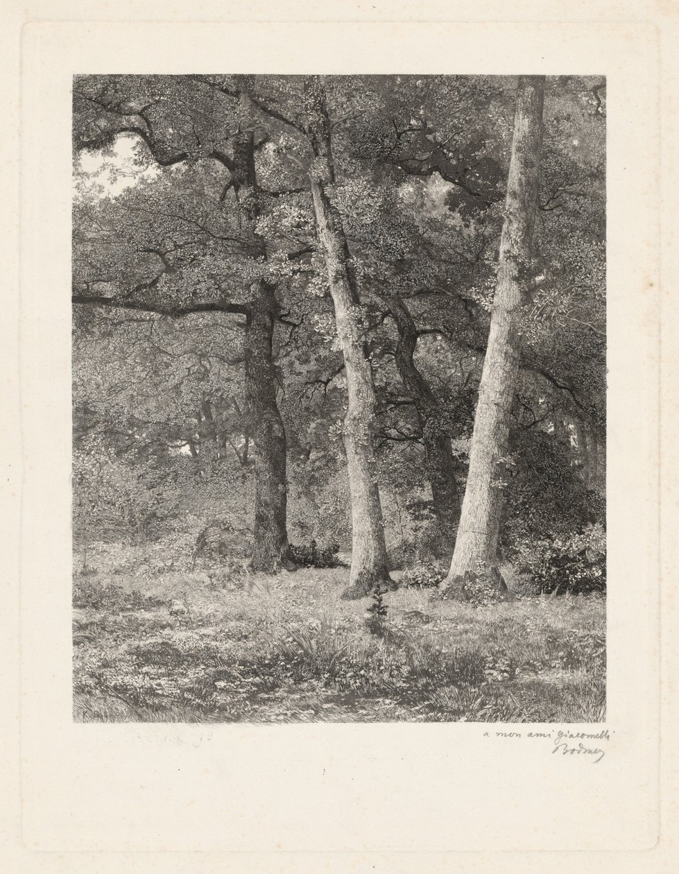 En glänta i skogen av Karl Bodmer