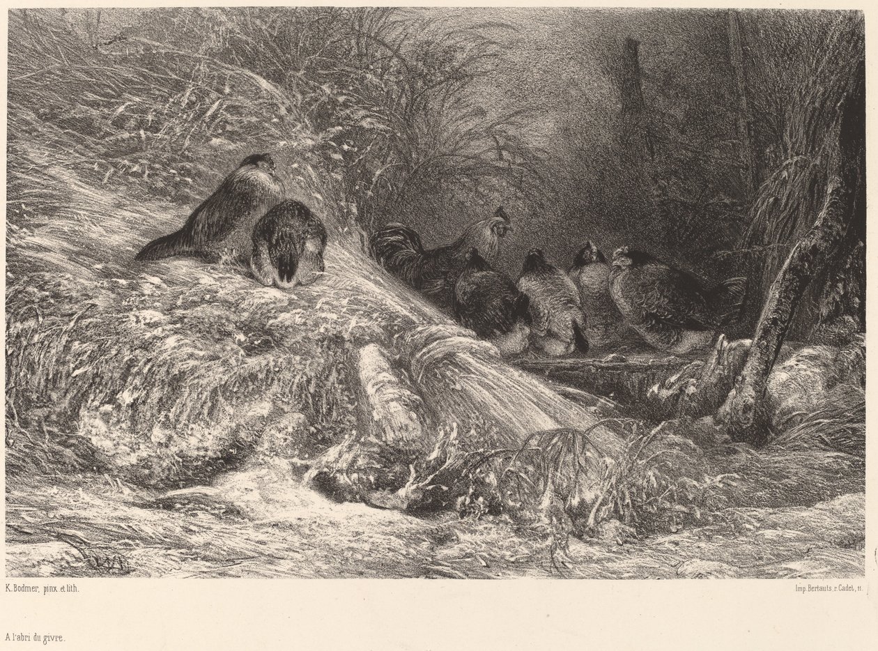 Skyddat från frost. av Karl Bodmer