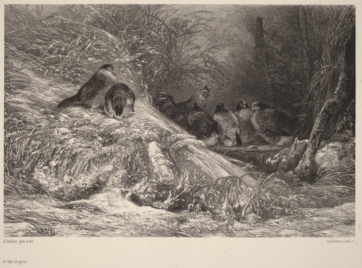 I skydd mot frost av Karl Bodmer