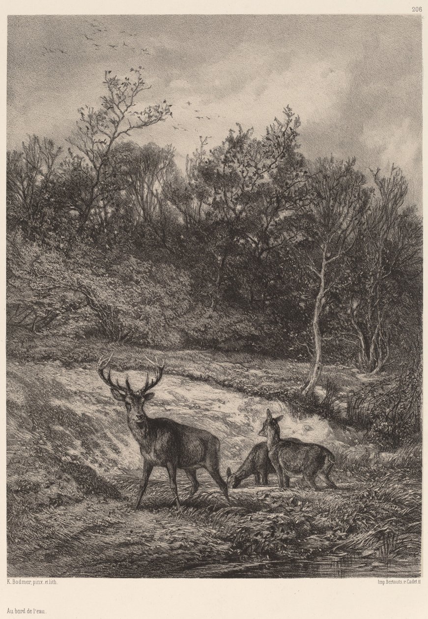 Vid vattenbrynet av Karl Bodmer