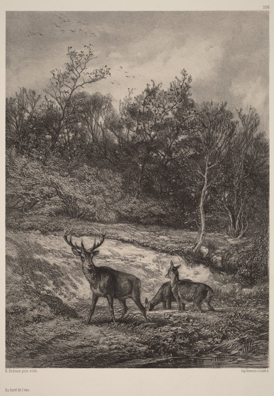 Vid vattnet av Karl Bodmer