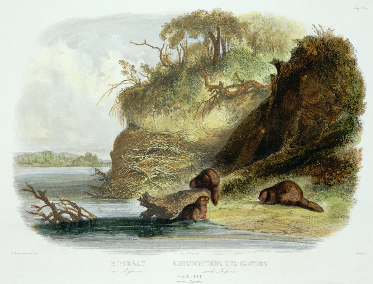 Beaver Hut on the Missouri, tavla 17 från volym 1 av `Travels in the Interior of North America