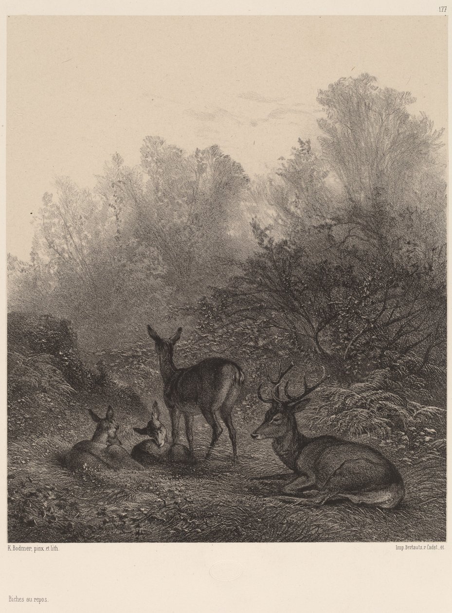 Hinder i vila. av Karl Bodmer