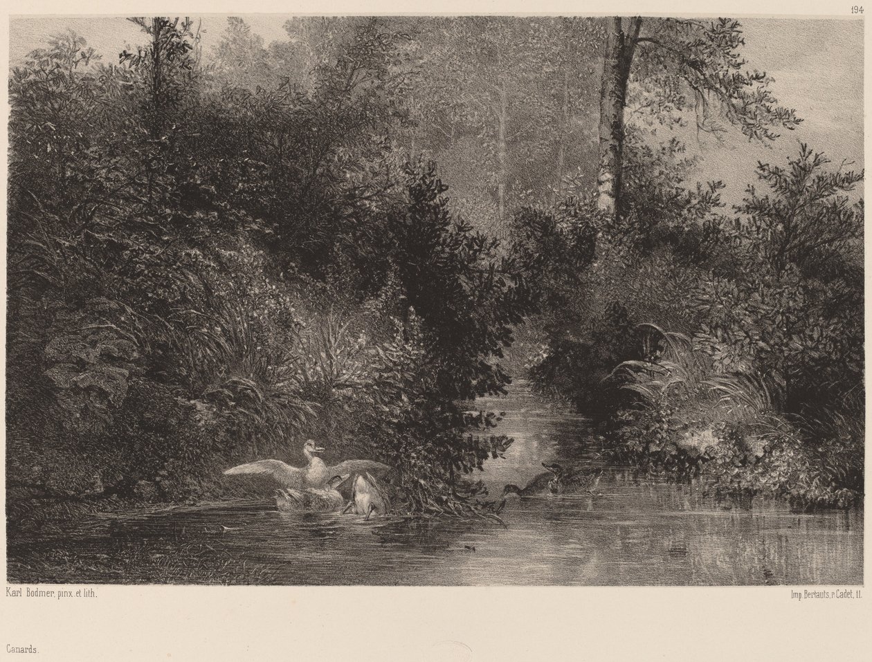 Ankor av Karl Bodmer