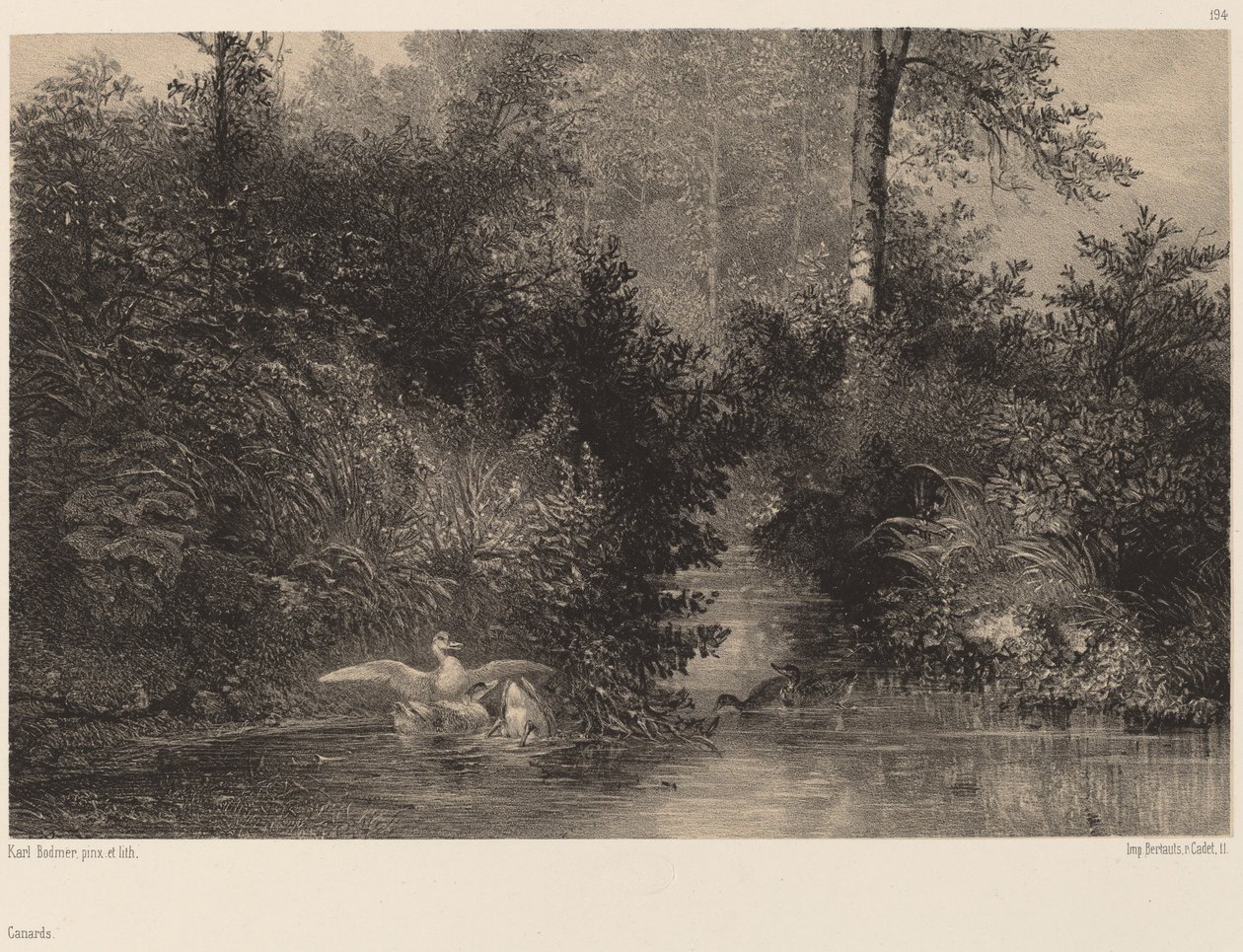 Ankor av Karl Bodmer