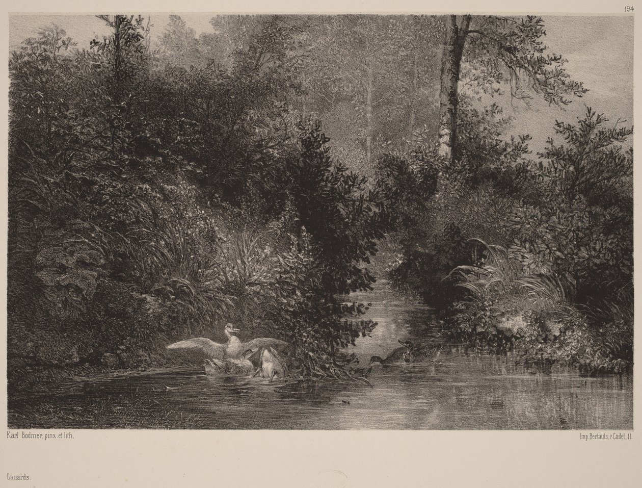 Ankor av Karl Bodmer
