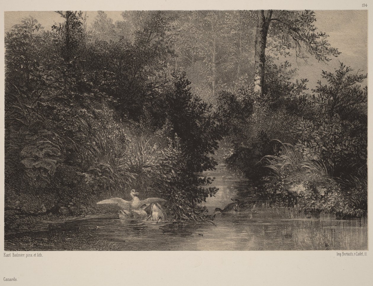 Änder av Karl Bodmer