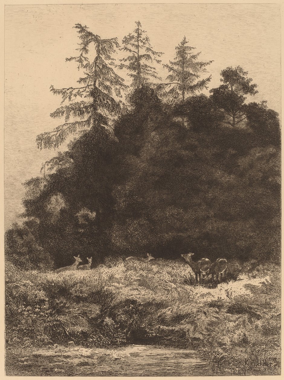 Dovhjort i en park av Karl Bodmer