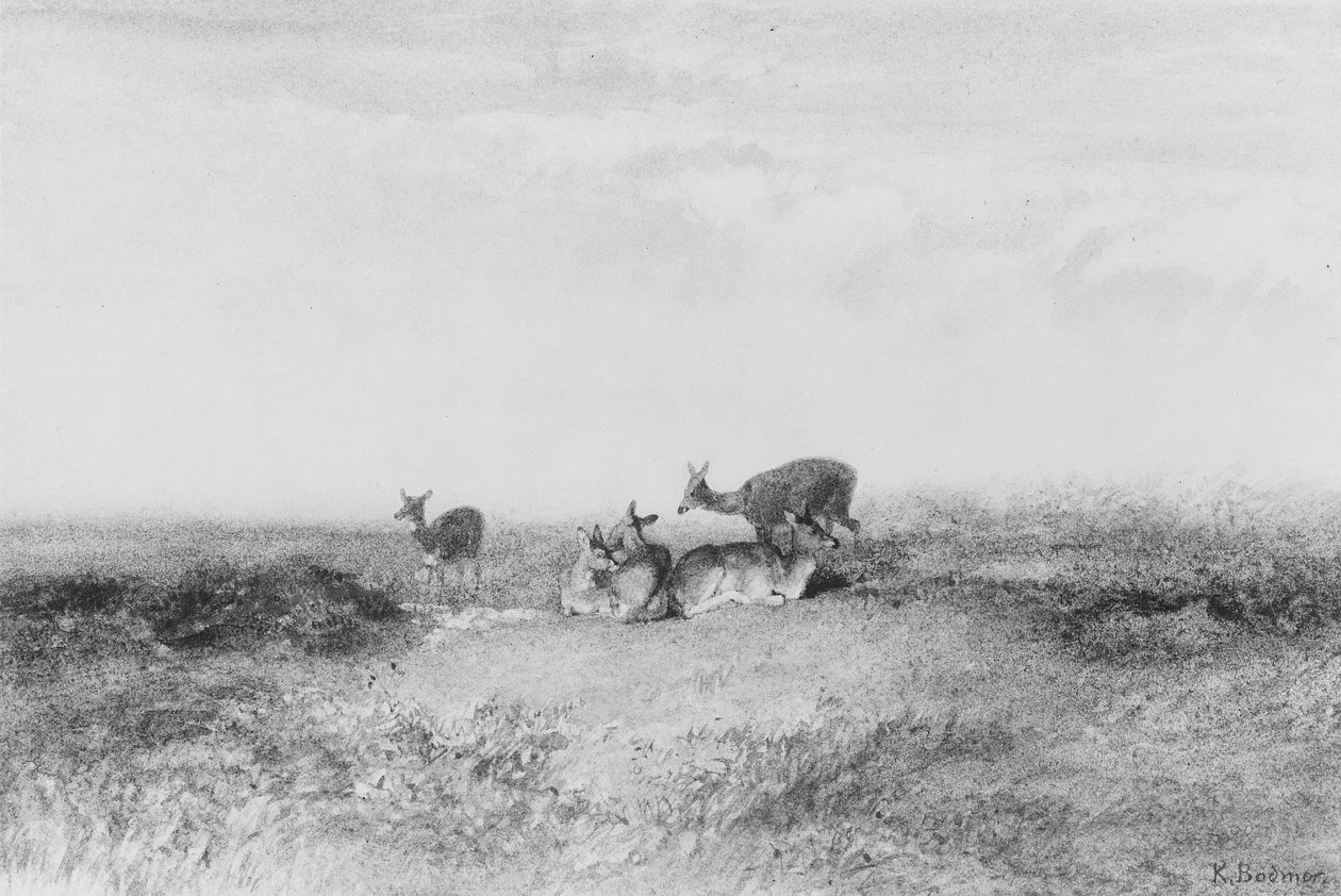 Hjort i ett landskap av Karl Bodmer