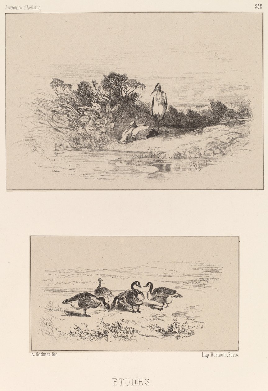Studier. av Karl Bodmer