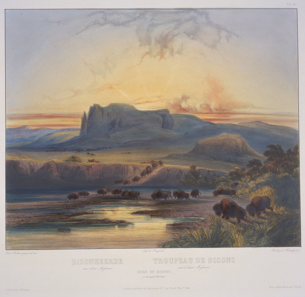Flock av bisoner på Upper Missouri av Karl Bodmer