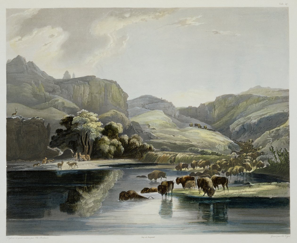 Herds of Bison and Elk on the Upper Missouri, skylt 47 från volym 2 av 