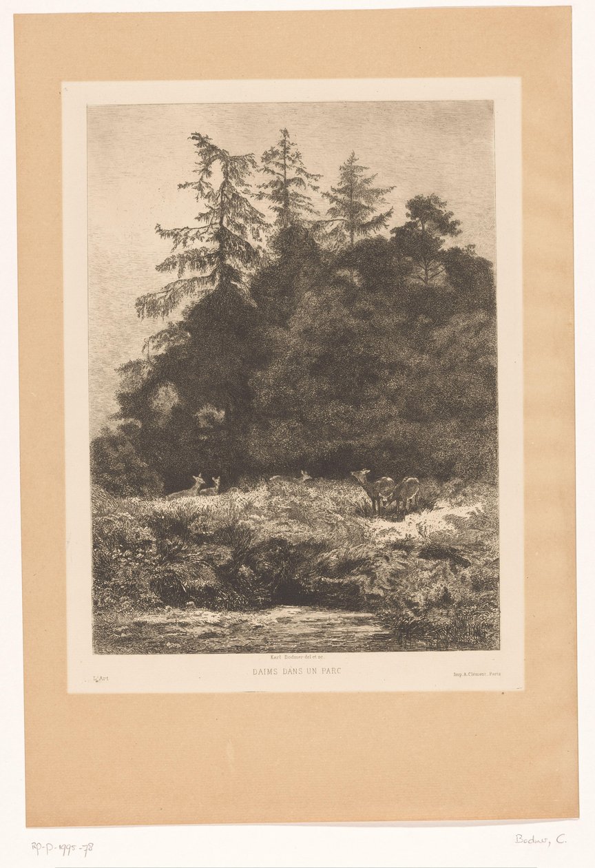 Rådjur i utkanten av en skog Daims dans un parc (titel på objekt) av Karl Bodmer