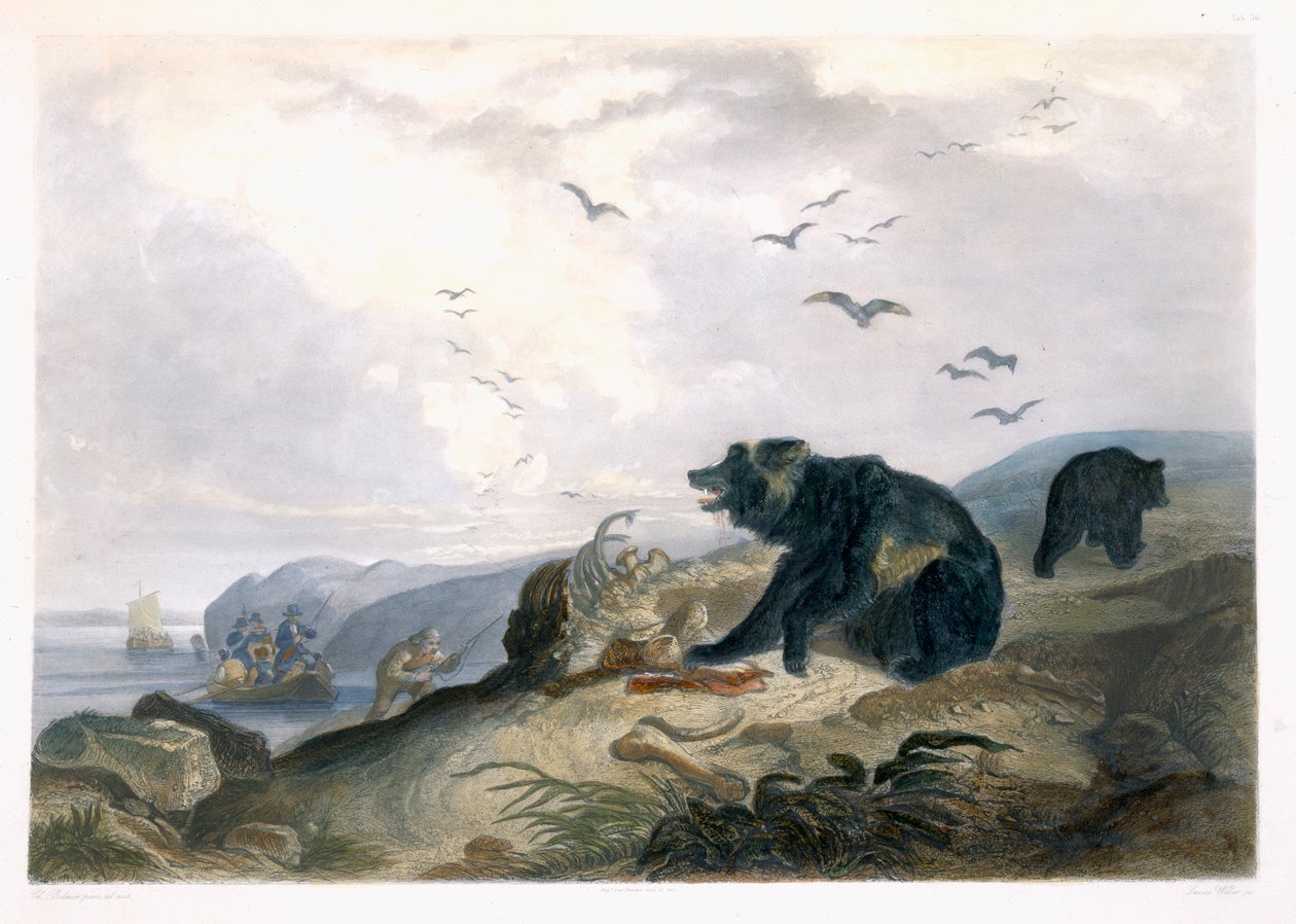 Jakt på grizzlybjörn, tavla 36 från volym 2 av "Travels in the Interior of North America", graverad av Lucas Weber, 1844 (akvatint) av Karl Bodmer