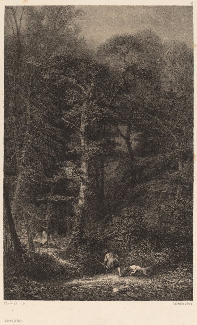 Skogens inre. av Karl Bodmer