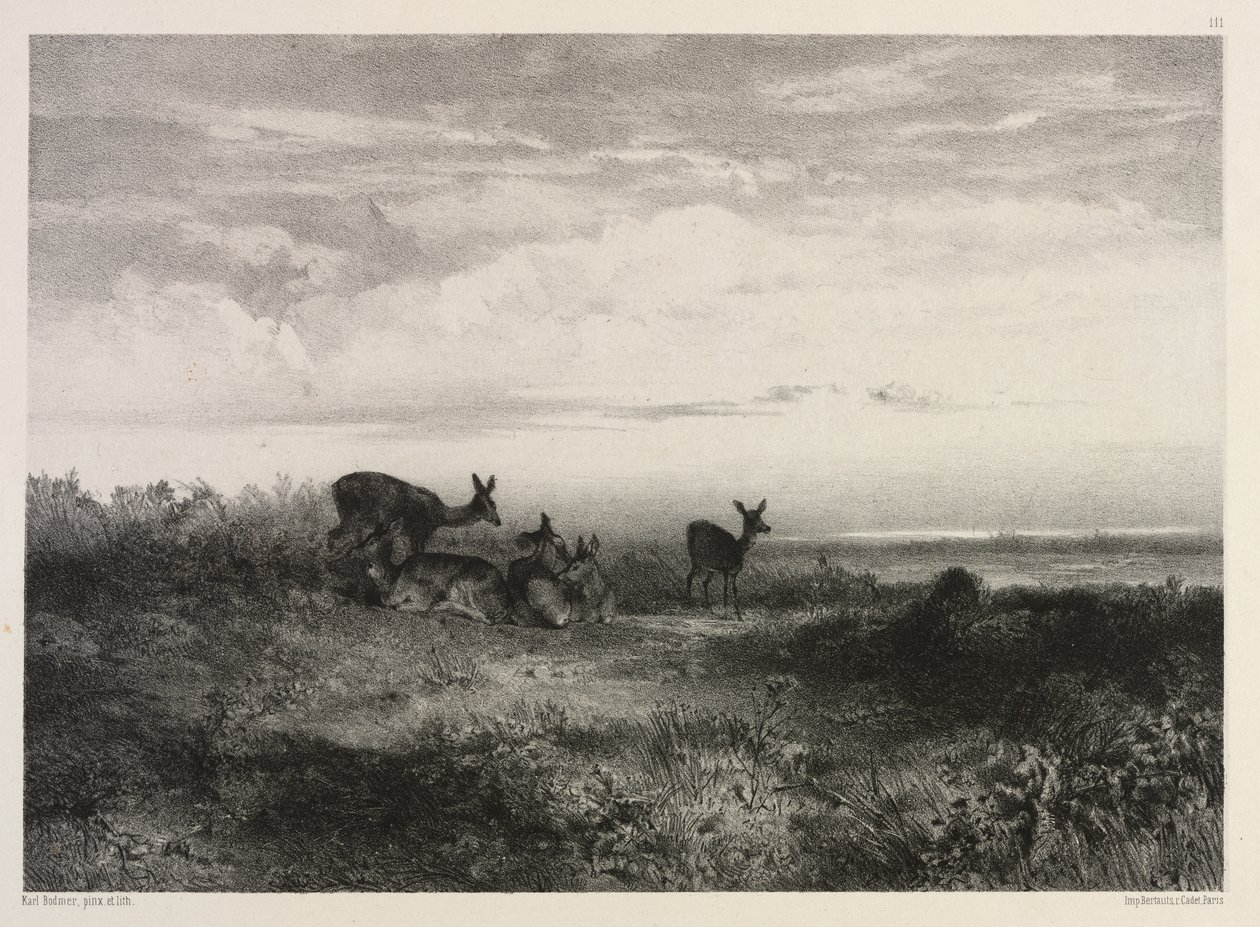 Landskap med rådjur av Karl Bodmer