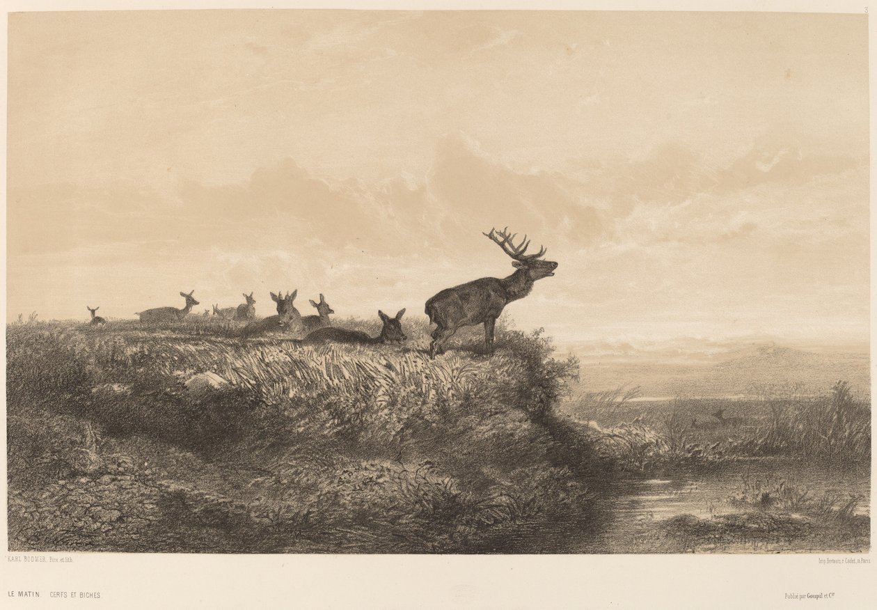 Morgonen. av Karl Bodmer