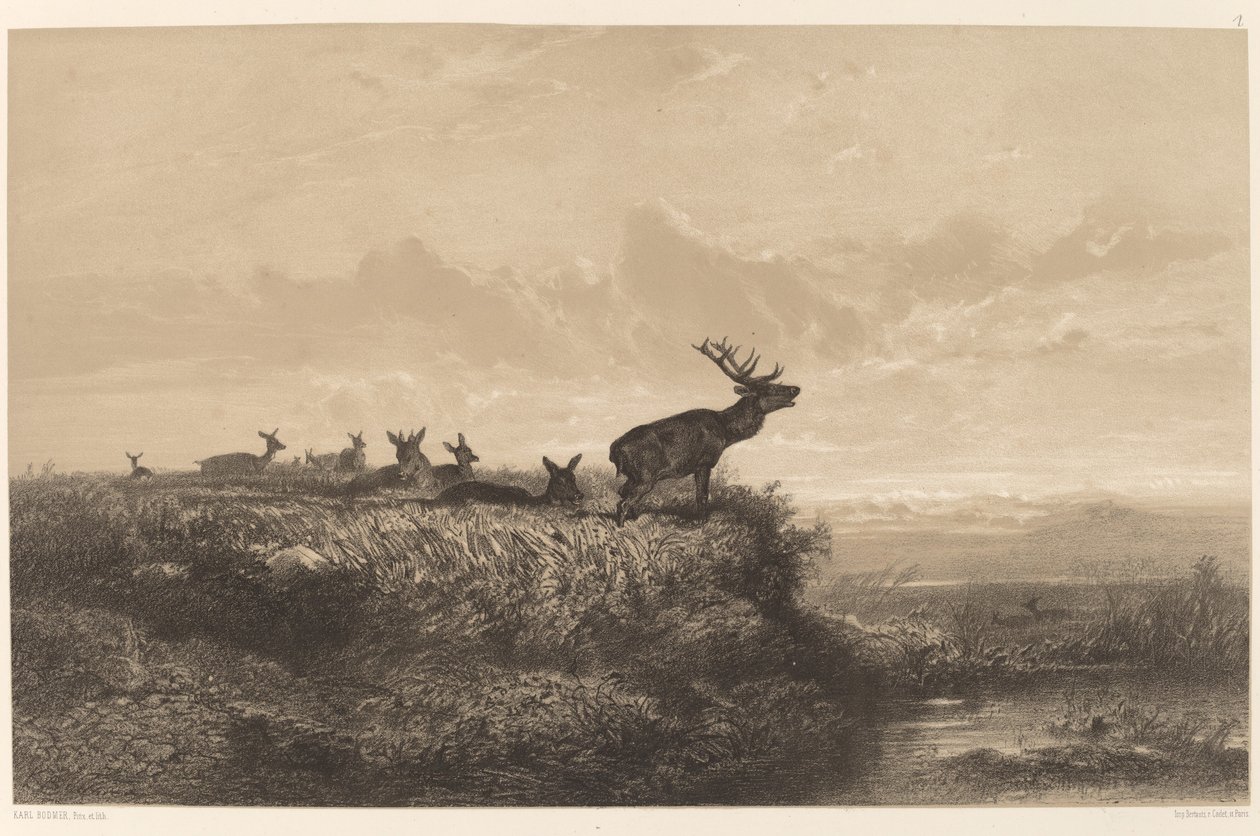 Morgonen. Rådjur och hindar av Karl Bodmer
