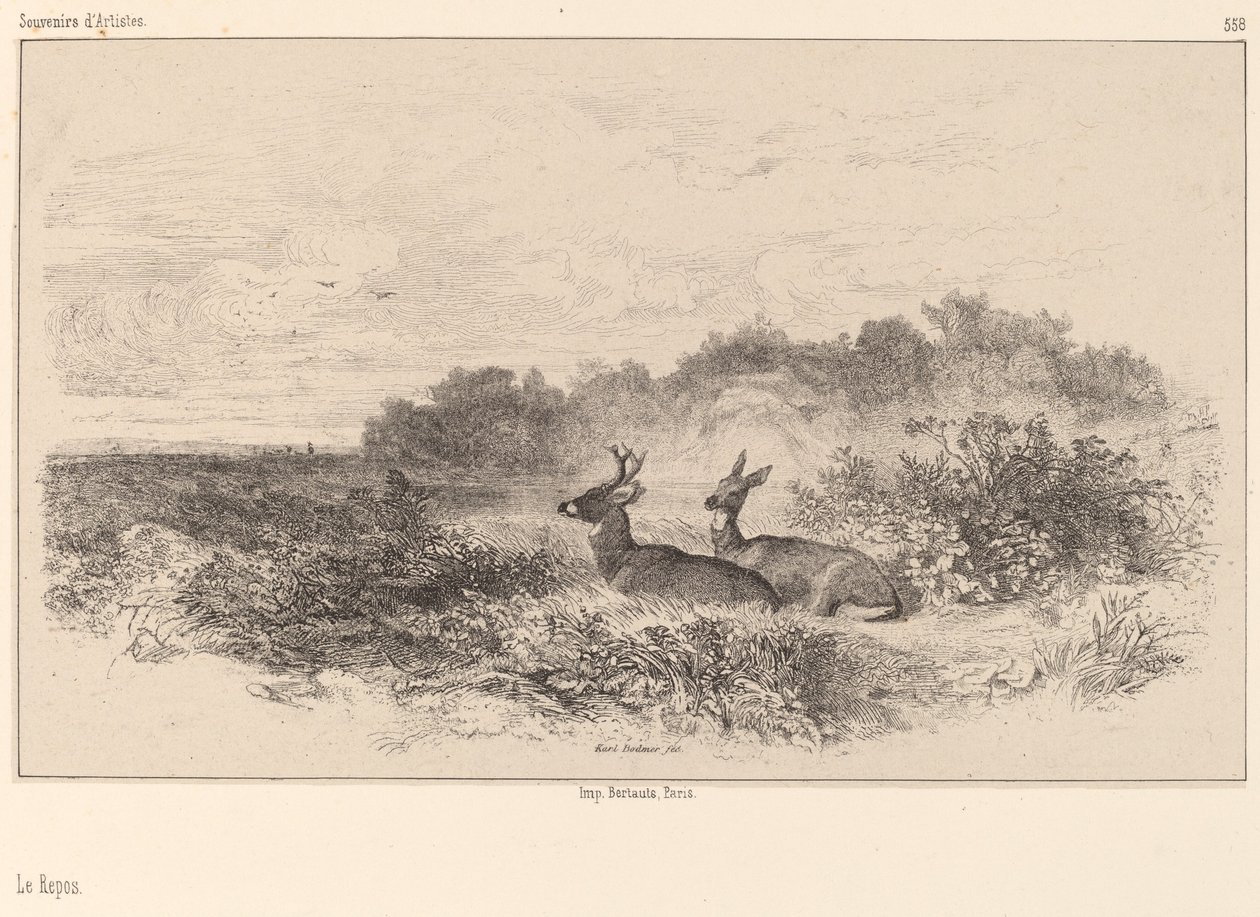 Resten. av Karl Bodmer